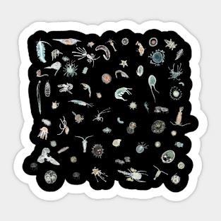 Plankton Sticker